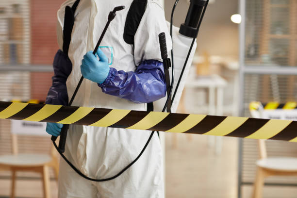 Professional Blood Cleanup technician working in Blue Mountain, AR